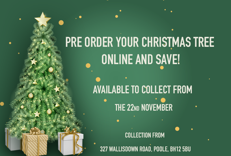 Treemendous – Pre Order Christmas Trees